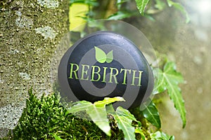 Rebirth photo